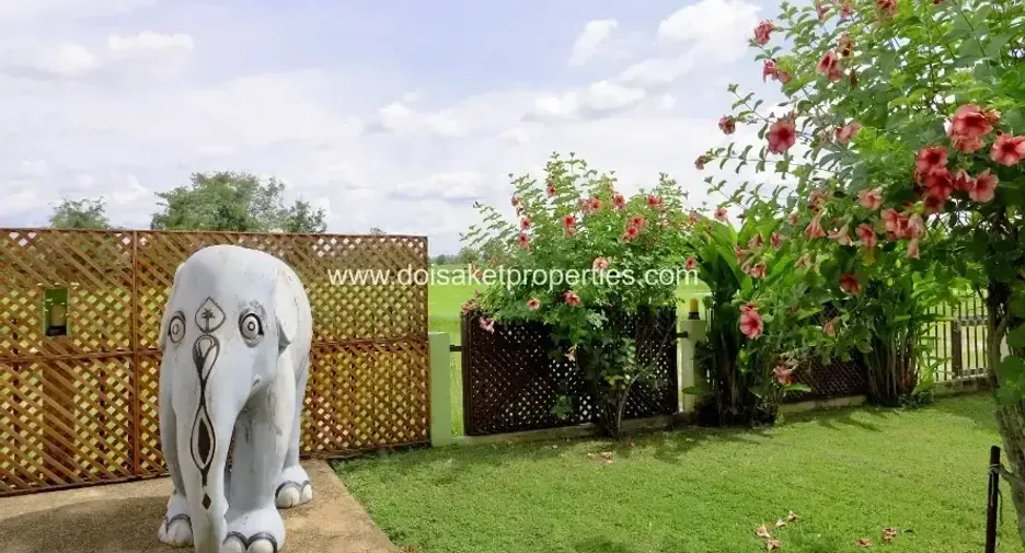 For sale 2 bedrooms house in Doi Saket, Chiang Mai