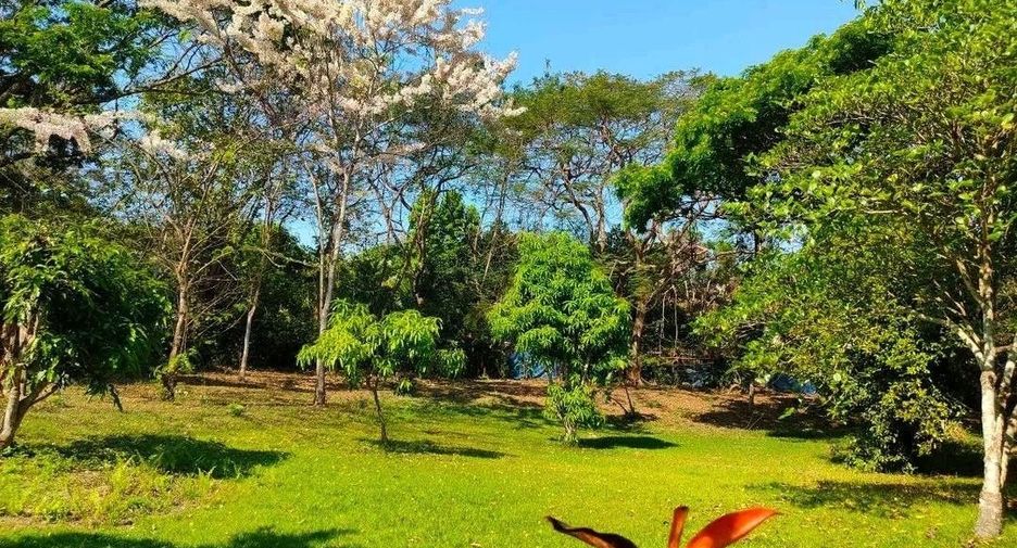 出售 4 卧室 独立屋 在 Doi Saket, Chiang Mai