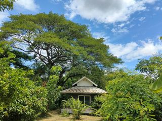 出售 4 卧室 独立屋 在 Doi Saket, Chiang Mai