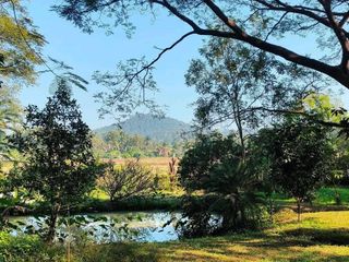出售 4 卧室 独立屋 在 Doi Saket, Chiang Mai