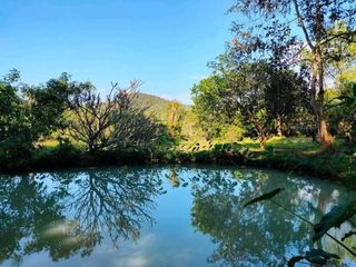 出售 4 卧室 独立屋 在 Doi Saket, Chiang Mai