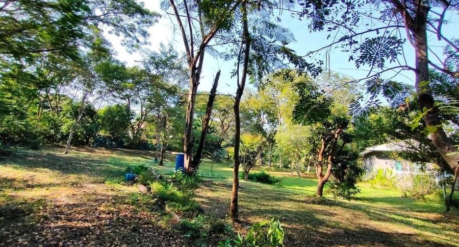 出售 4 卧室 独立屋 在 Doi Saket, Chiang Mai