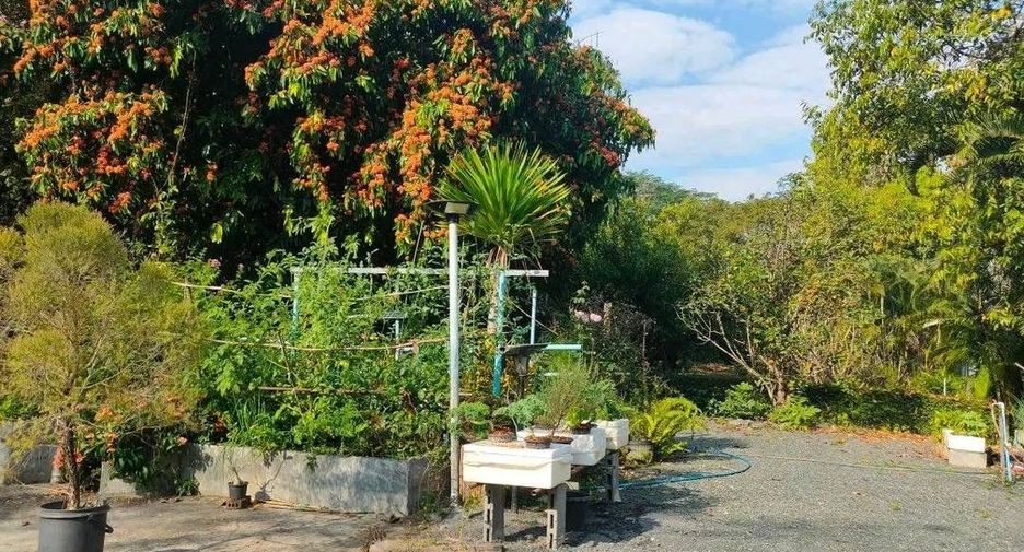 出售 4 卧室 独立屋 在 Doi Saket, Chiang Mai