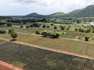 For sale land in Pran Buri, Prachuap Khiri Khan