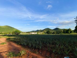 For sale land in Pran Buri, Prachuap Khiri Khan