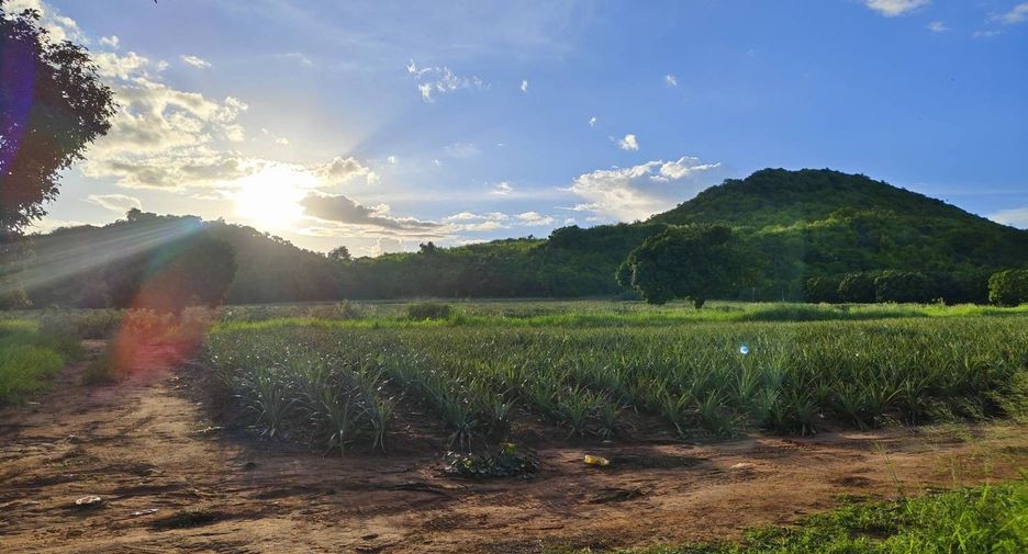 For sale land in Pran Buri, Prachuap Khiri Khan