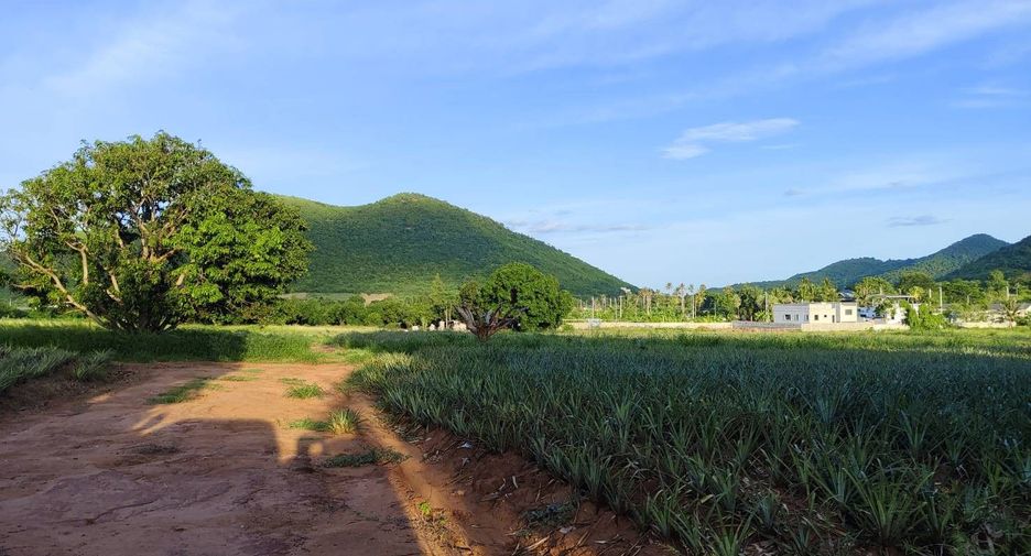 For sale land in Pran Buri, Prachuap Khiri Khan