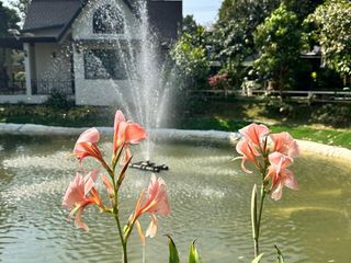 For sale 1 Beds condo in Mueang Chiang Mai, Chiang Mai