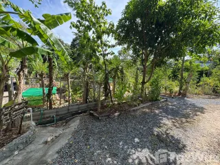 For sale land in Ko Samui, Surat Thani