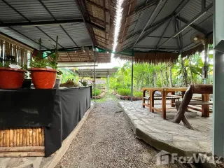 For sale land in Ko Samui, Surat Thani
