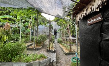 For sale land in Ko Samui, Surat Thani