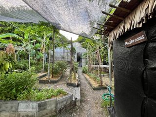 For sale land in Ko Samui, Surat Thani