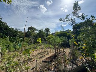 For sale land in Ko Samui, Surat Thani
