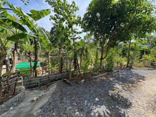 For sale land in Ko Samui, Surat Thani