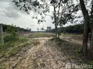 À vendre terrain à Nikhom Phatthana, Rayong