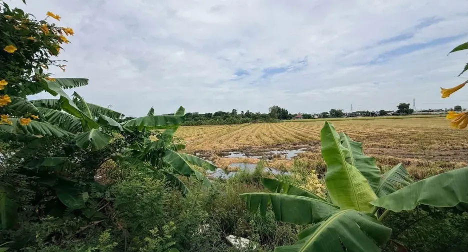 出售 土地 在 Pak Kret, Nonthaburi