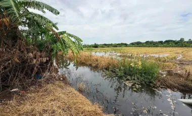 出售 土地 在 Pak Kret, Nonthaburi