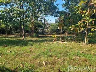 For sale land in Sirindhorn, Ubon Ratchathani
