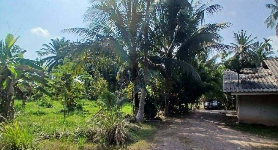 Grundstück zum Kauf in Mueang Krabi, Krabi
