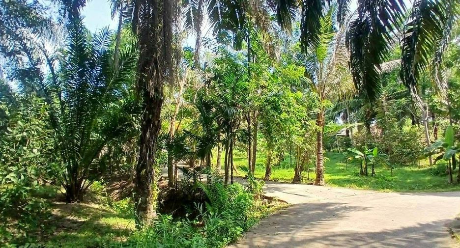 Grundstück zum Kauf in Mueang Krabi, Krabi