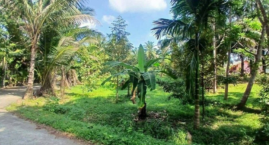 Grundstück zum Kauf in Mueang Krabi, Krabi
