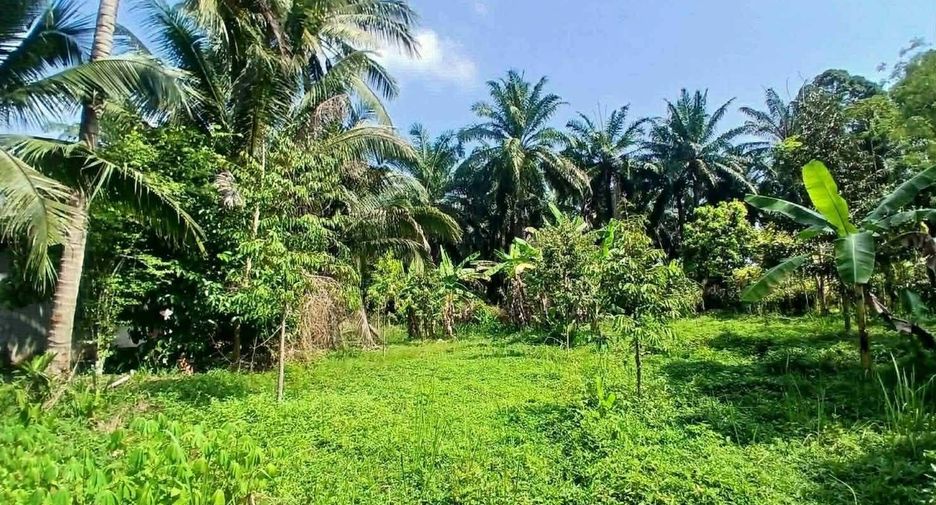 Grundstück zum Kauf in Mueang Krabi, Krabi