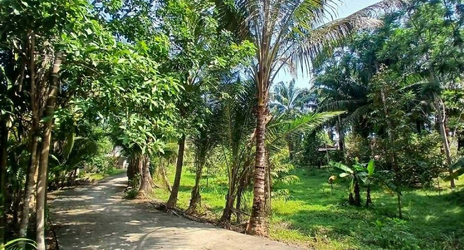 Grundstück zum Kauf in Mueang Krabi, Krabi