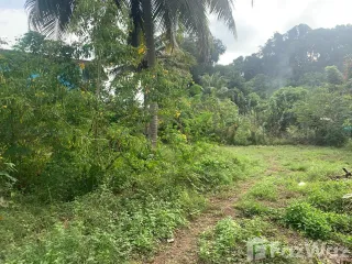出售 土地 在 Ko Yao, Phangnga