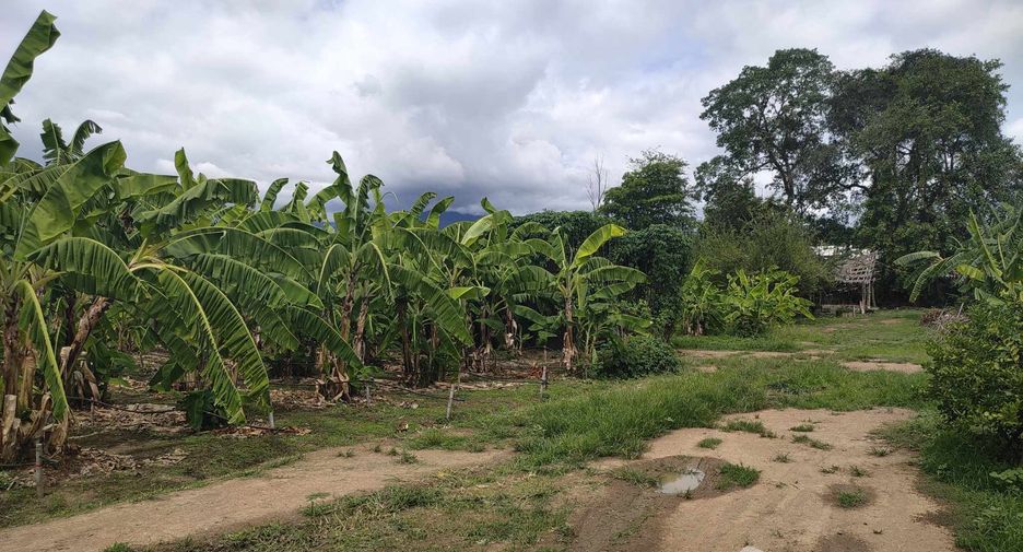 Grundstück zum Kauf in Mae Rim, Chiang Mai