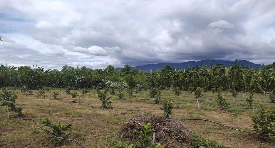 Grundstück zum Kauf in Mae Rim, Chiang Mai