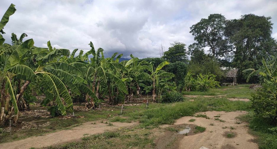 Grundstück zum Kauf in Mae Rim, Chiang Mai