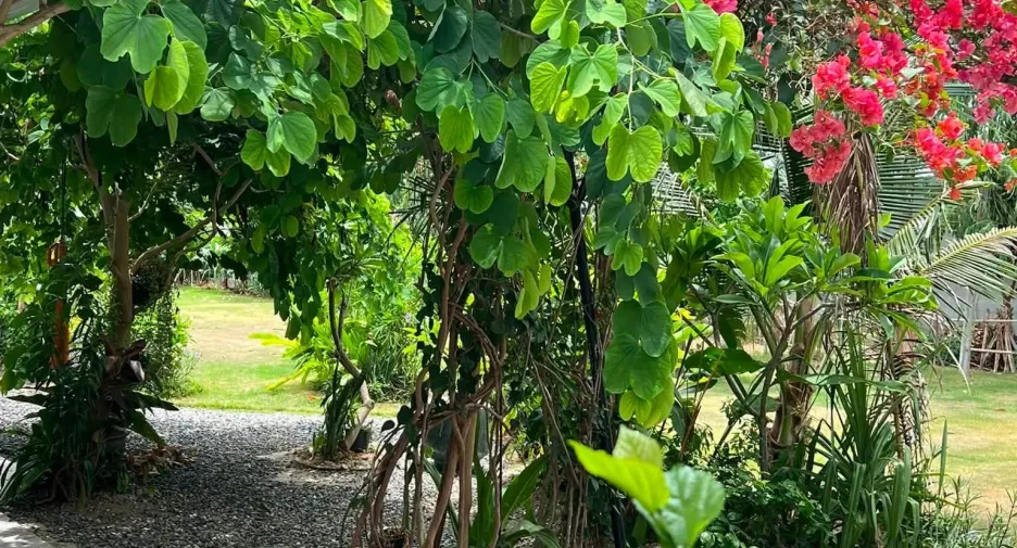 For rent 3 bedrooms villa in Hua Hin, Prachuap Khiri Khan