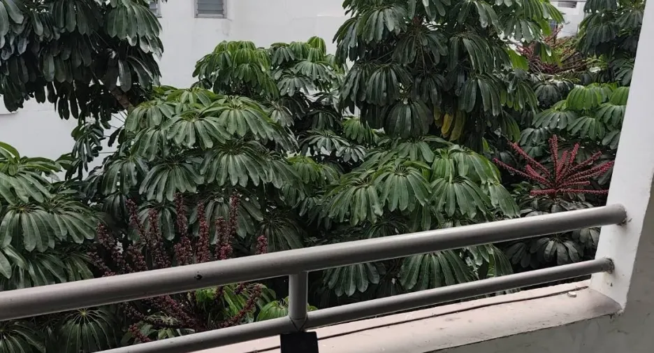 Condo en venta de 2 habitaciones en Suan Luang, Bangkok