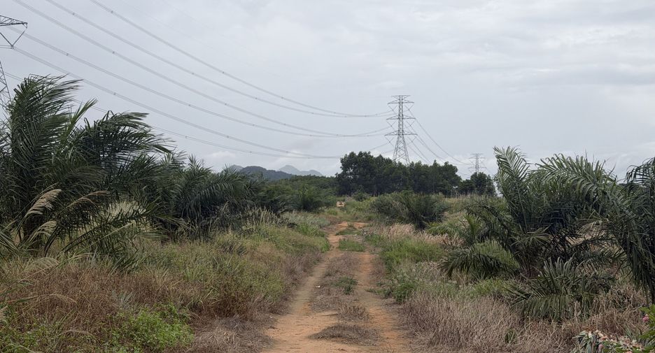 For sale land in Pran Buri, Prachuap Khiri Khan