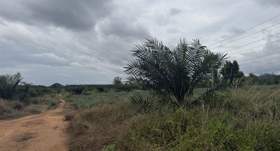 For sale land in Pran Buri, Prachuap Khiri Khan