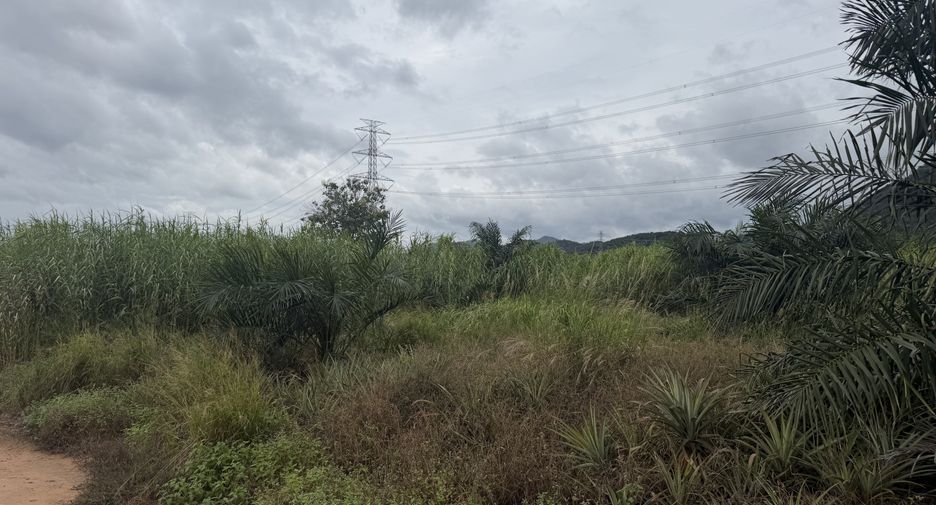 For sale land in Pran Buri, Prachuap Khiri Khan