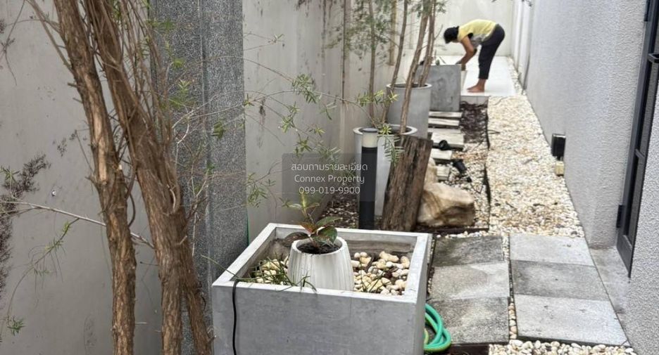 ให้เช่า 4 ห้องนอน ทาวน์เฮ้าส์ ใน วัฒนา, กรุงเทพฯ
