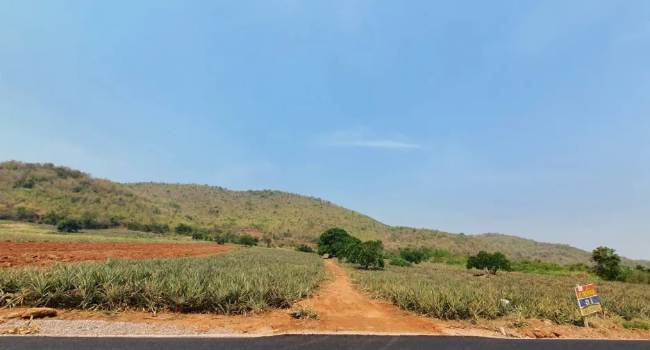 For sale land in Pran Buri, Prachuap Khiri Khan