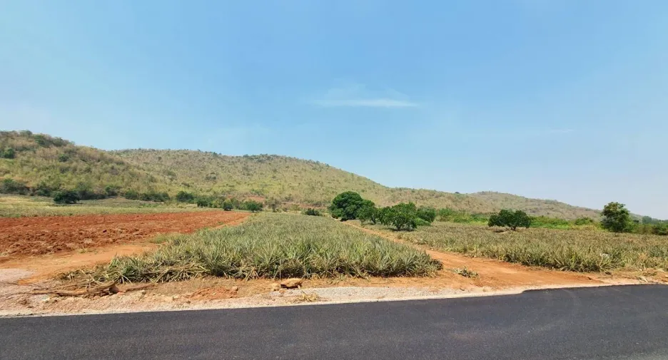 For sale land in Pran Buri, Prachuap Khiri Khan