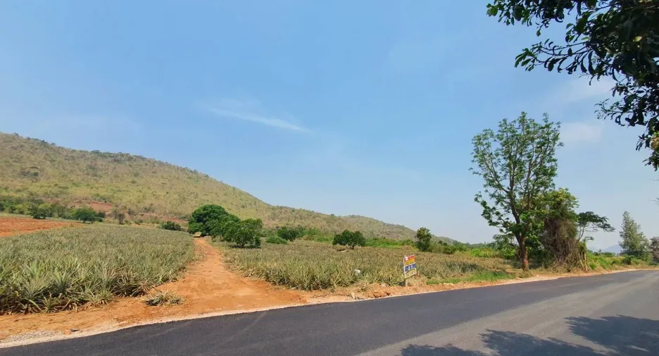 For sale land in Pran Buri, Prachuap Khiri Khan