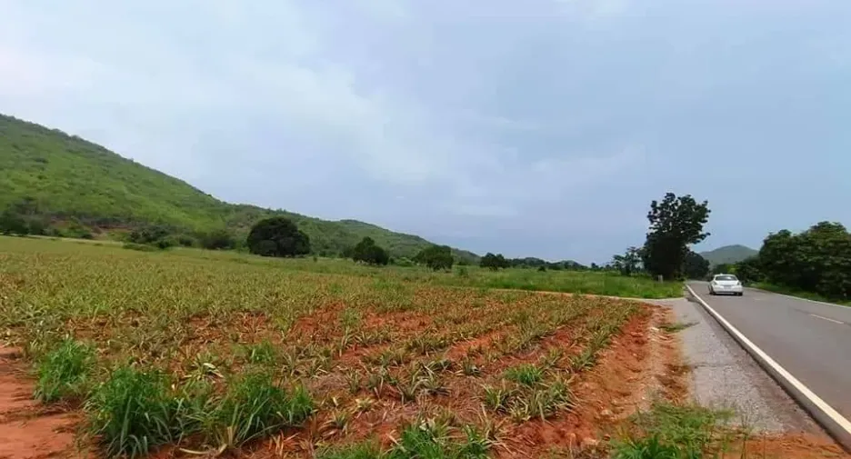 For sale land in Pran Buri, Prachuap Khiri Khan