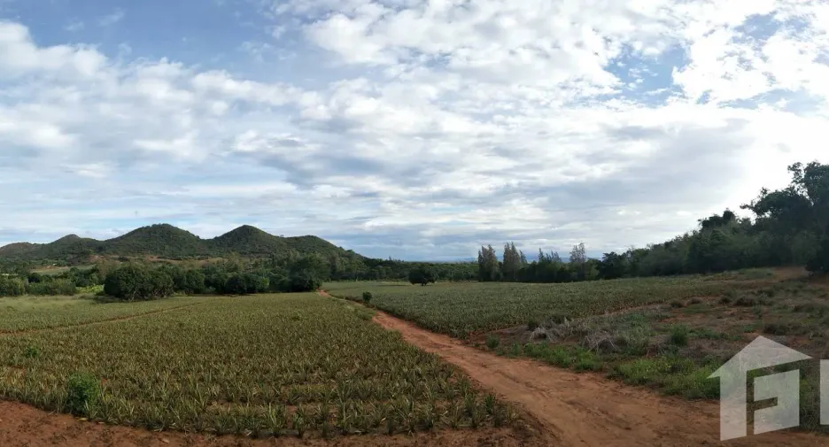 For sale land in Pran Buri, Prachuap Khiri Khan
