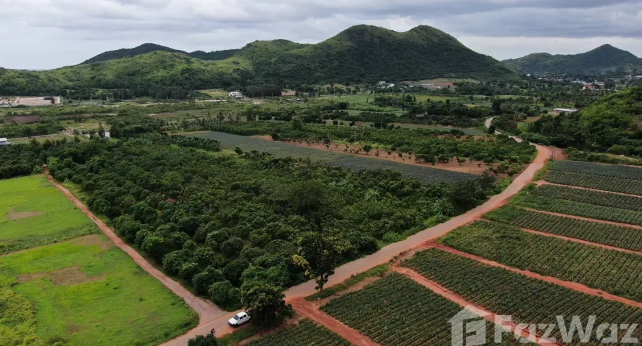 For sale land in Pran Buri, Prachuap Khiri Khan