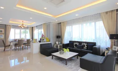 For sale land in San Sai, Chiang Mai
