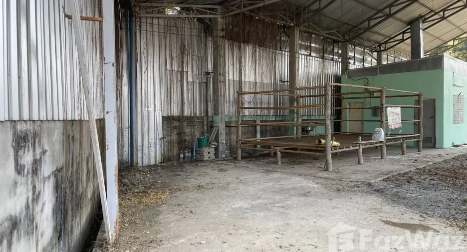 Grundstück zum Kauf in Mueang Chiang Rai, Chiang Rai