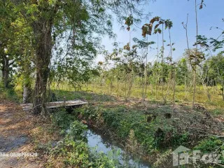 For sale land in Sam Chuk, Suphan Buri