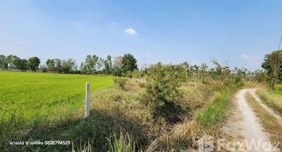 For sale land in Sam Chuk, Suphan Buri