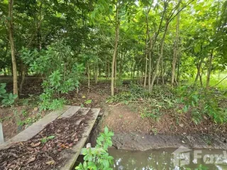 For sale land in Sam Chuk, Suphan Buri