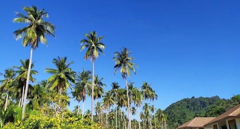 For sale 30 bedrooms hotel in Ko Lanta, Krabi