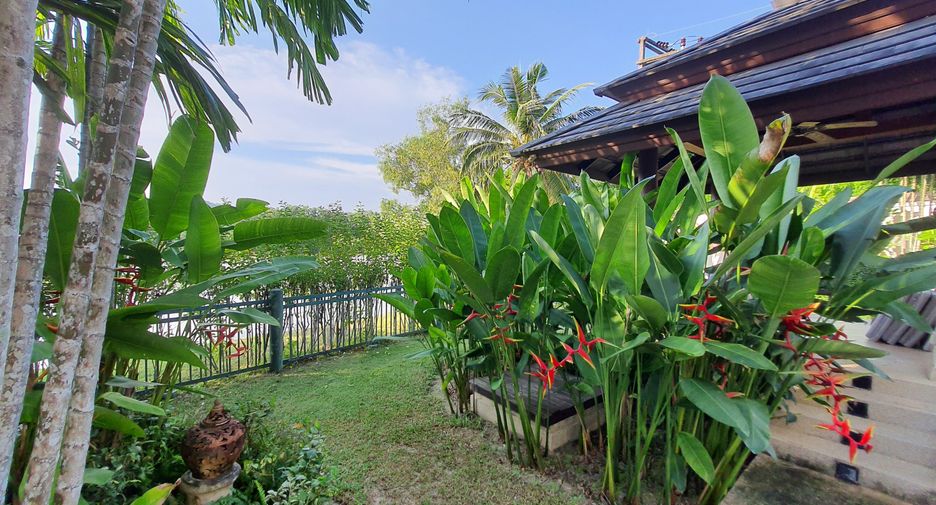 For rent 4 bedrooms villa in Thalang, Phuket